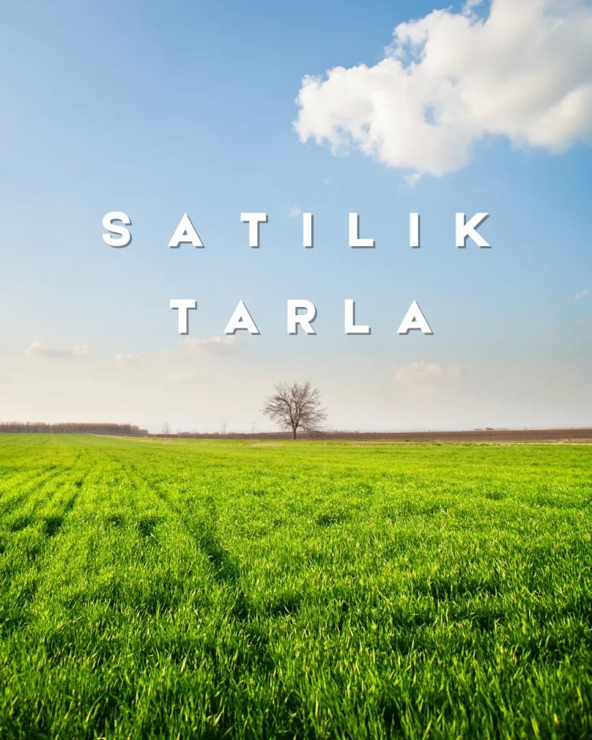 YILDIZ GAYRİMENKUL'DEN KAYNARCA SATILIK TARLA